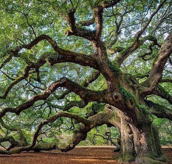 İÇİMİZ YANARKEN SORGULAMAK